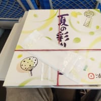 新大阪駅新幹線改札内『プラスタベントー』で選んで買った″淡路屋の夏の彩り弁当”を新幹線で食べた。こんなに美味しいお弁当ならリピート必至です！