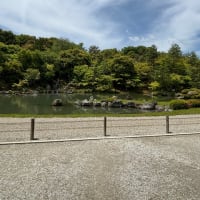 京都旅行 / 嵐山