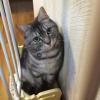 ポーズを決めているでしょう(^o^)