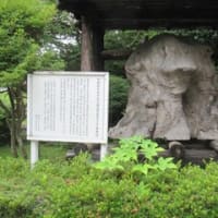 7/1　東北紀行（5）　酒田から鶴岡へ　鶴岡公園