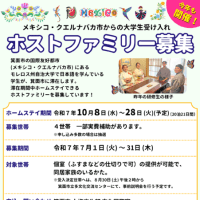 メキシコのアイスクリームについて話しましょう。