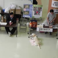 えにわスポーツフェスティバル、、、と、、、進まないステンシル(*^_^*)