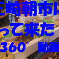 三崎朝市に行ってみました！