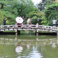 円山公園　散策　ピピチンワープ