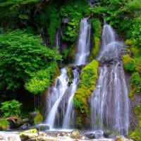 吐竜の滝（7/11）