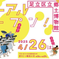 郷土博物館のミーコ