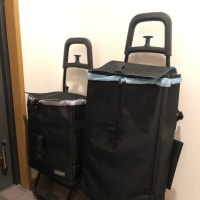 買い物カートが２台