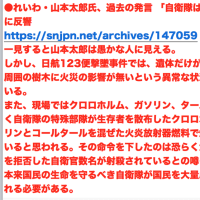 大勲位の偉業【クロロホルムと火炎放射器＝JAL123便】