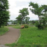 北海道-南あいの里こもれび公園