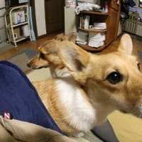 遊びのシメは・・・