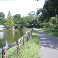 埼玉県吉見町　八丁湖湖畔ジョギングコース