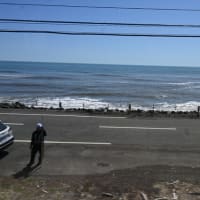 根室・釧路の旅(1)―2025年4月18、19日