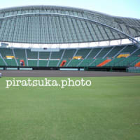2025 プロ野球キャンプ 春季キャンプ