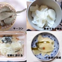 ブログ再開しました