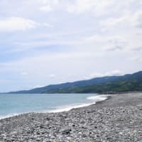 小田原の夏を満喫！「御幸の浜」と「江之浦」2つの海水浴場が今年も海開き！
