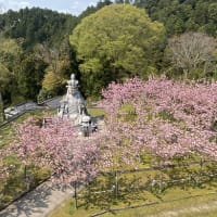 眼病封じのお寺「壷阪寺」へ