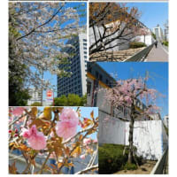 施設案内東京-525　東京・霞ヶ関の建物　
