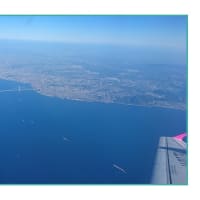 日本最南端の島よりの便り