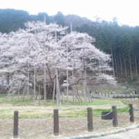 ご無沙汰しております。。。