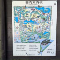 箱根町立箱根湿生花園