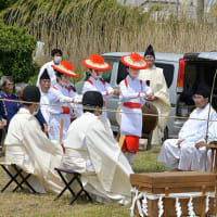 玉前神社の御田植祭