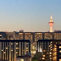 ホテルの部屋から京都タワー　いよいよ最終日です
