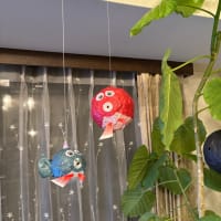 ウンベラータ＆リビング