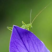 天下とったで〜〜