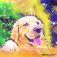モデル犬