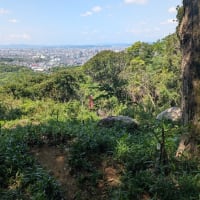 操山　2025.5.28　「23」