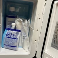 プロのピラティス炒め？