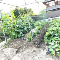 6月21日（土）③