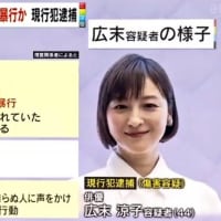 逮捕された女優の広末涼子がパニックになった理由を知りたい