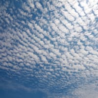 平静を装う を英語で 知らなかった 英単語今日の発見 平静を装う を英語で 知らなかった 英単語今日の発見