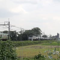 我楽多箱から  (280)