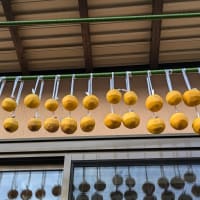 おしゃべりGardenおばちゃま & オープンガーデン　6年11月 　