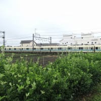 小田急電鉄８０００系車輌を西武鉄道 小手指車両基地へ回送か