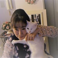 今日は猫の日らしい？