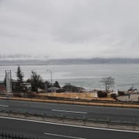 雨でした。