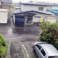 昨日午後は今年2回目の雷雨