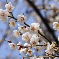 暮れのご挨拶
