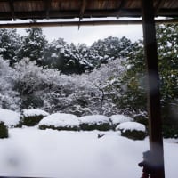 京都の雪景色。四季折々の豊かな表情の庭園「詩仙堂」。すっぽりと雪帽子を被った木々