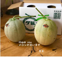 amebloへお引越ししました→emustyleemu