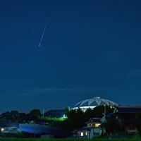 七夕さまにちなんで！
