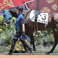 【マードラド】スリーアウトではないけれど、このまま続戦は？？