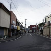 町の真ん中に熊が出た