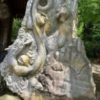 新緑の深大寺へ②～皆さまにご挨拶、美味しいお蕎麦＾＾