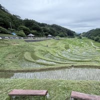 ◆  七夕風鈴