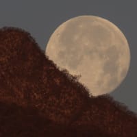 201231相馬山と満月