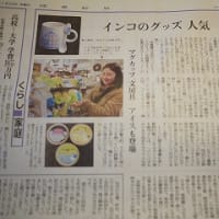 インコグッズブームについて、読売新聞の取材を受けました